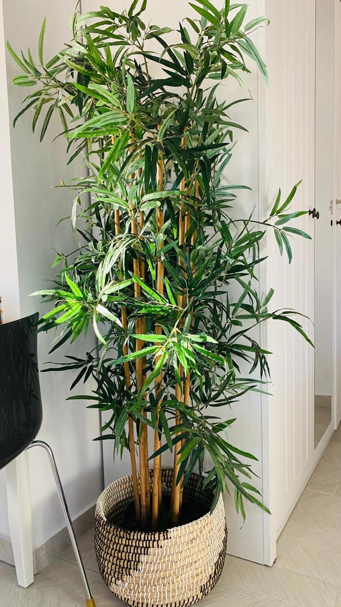 דירות Kávallos Linari Bohemian Living מראה חיצוני תמונה